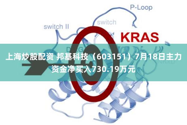 上海炒股配资 邦基科技（603151）7月18日主力资金净买入730.19万元