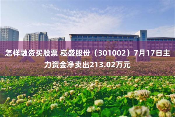 怎样融资买股票 崧盛股份（301002）7月17日主力资金净卖出213.02万元