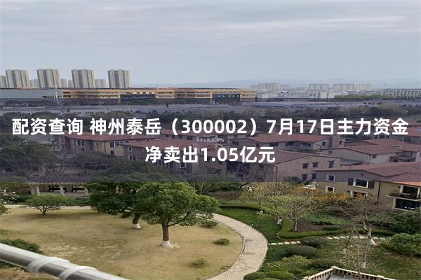 配资查询 神州泰岳（300002）7月17日主力资金净卖出1.05亿元