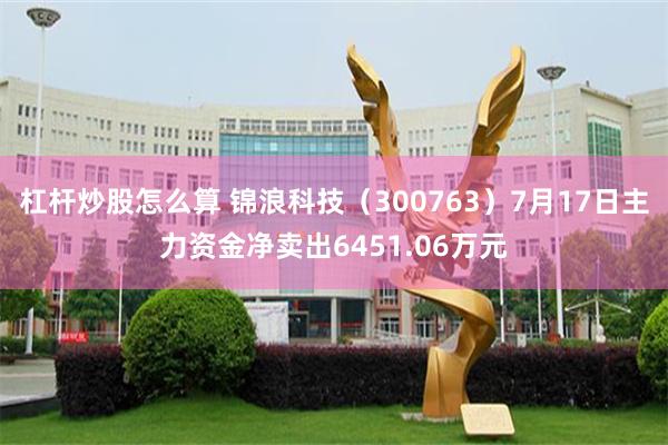 杠杆炒股怎么算 锦浪科技（300763）7月17日主力资金净卖出6451.06万元