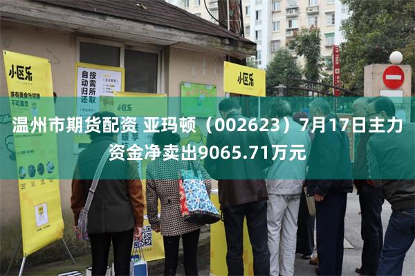 温州市期货配资 亚玛顿（002623）7月17日主力资金净卖出9065.71万元