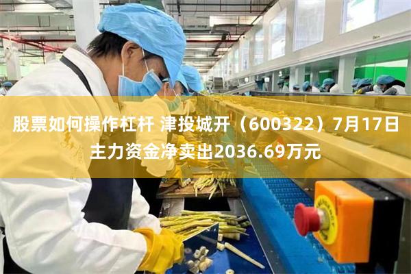 股票如何操作杠杆 津投城开（600322）7月17日主力资金净卖出2036.69万元