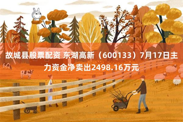 故城县股票配资 东湖高新（600133）7月17日主力资金净卖出2498.16万元