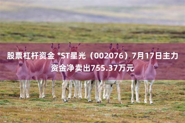 股票杠杆资金 *ST星光（002076）7月17日主力资金净卖出755.37万元