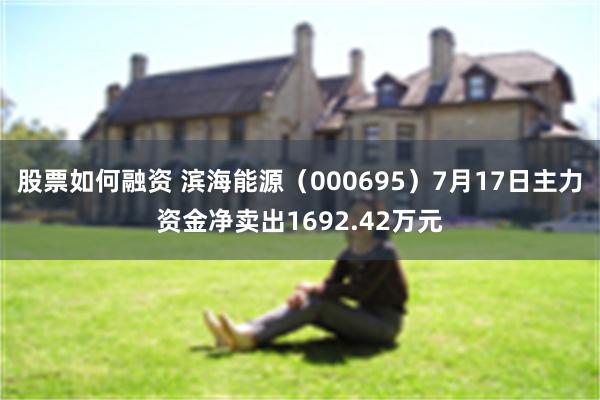 股票如何融资 滨海能源（000695）7月17日主力资金净卖出1692.42万元