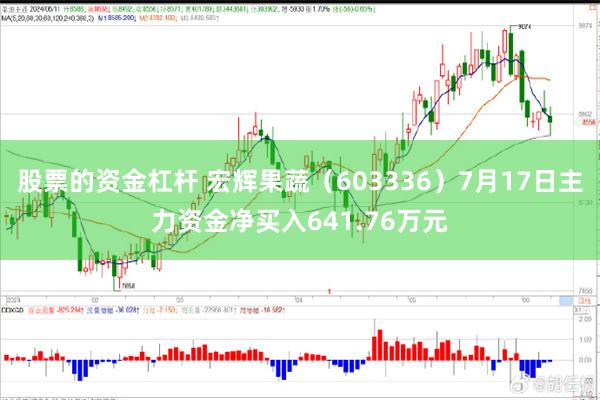 股票的资金杠杆 宏辉果蔬（603336）7月17日主力资金净买入641.76万元