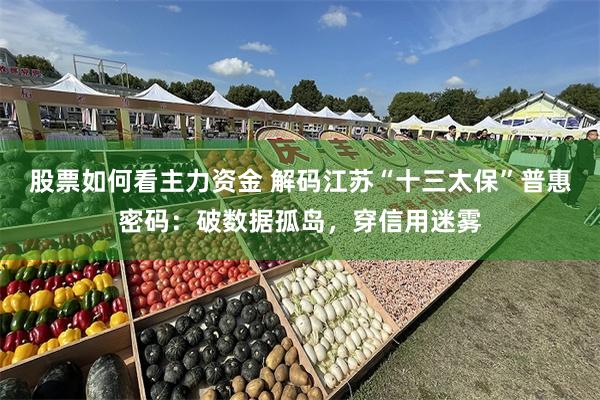 股票如何看主力资金 解码江苏“十三太保”普惠密码：破数据孤岛，穿信用迷雾