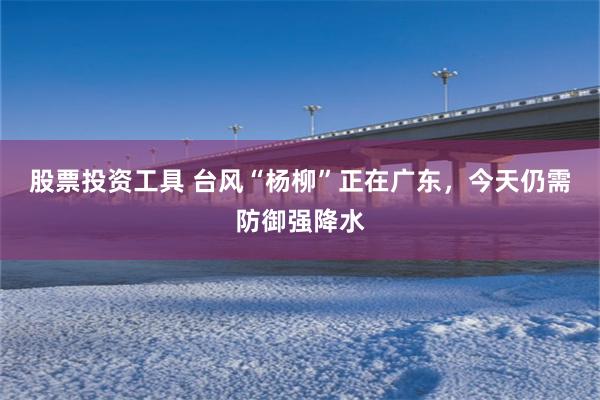 股票投资工具 台风“杨柳”正在广东，今天仍需防御强降水
