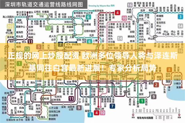 正规的网上炒股配资 欧洲多位领导人将与泽连斯基同往白宫最新进展！专家分析局势