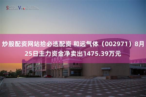 炒股配资网站拾必选配资 和远气体（002971）8月25日主力资金净卖出1475.39万元