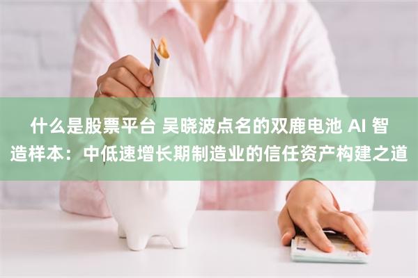 什么是股票平台 吴晓波点名的双鹿电池 AI 智造样本：中低速增长期制造业的信任资产构建之道