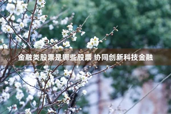 金融类股票是哪些股票 协同创新科技金融