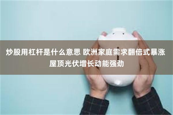 炒股用杠杆是什么意思 欧洲家庭需求翻倍式暴涨 屋顶光伏增长动能强劲