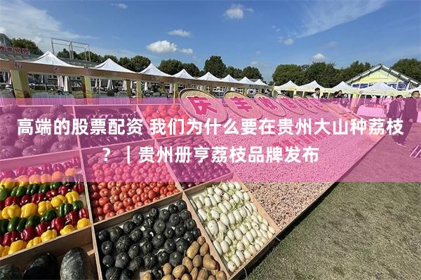 高端的股票配资 我们为什么要在贵州大山种荔枝?|贵州册亨荔枝品牌发布