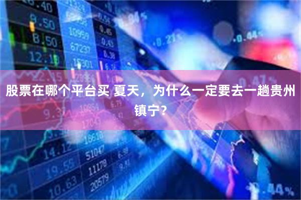 股票在哪个平台买 夏天，为什么一定要去一趟贵州镇宁？