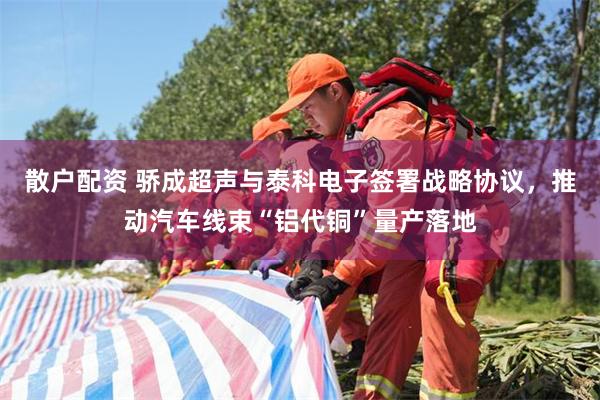 散户配资 骄成超声与泰科电子签署战略协议,推动汽车线束“铝代铜”量产落地