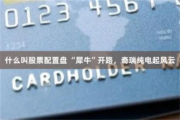 什么叫股票配置盘 “犀牛”开路，奇瑞纯电起风云