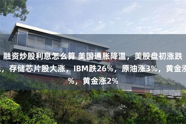 融资炒股利息怎么算 美国通胀降温，美股盘初涨跌互现，存储芯片股大涨，IBM跌26%，原油涨3%，黄金涨2%