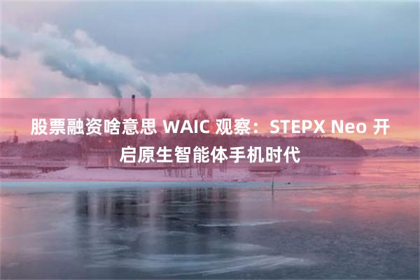 股票融资啥意思 WAIC 观察：STEPX Neo 开启原生智能体手机时代