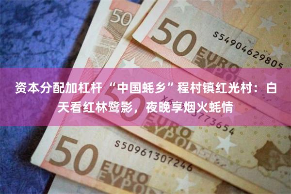 资本分配加杠杆 “中国蚝乡”程村镇红光村：白天看红林鹭影，夜晚享烟火蚝情
