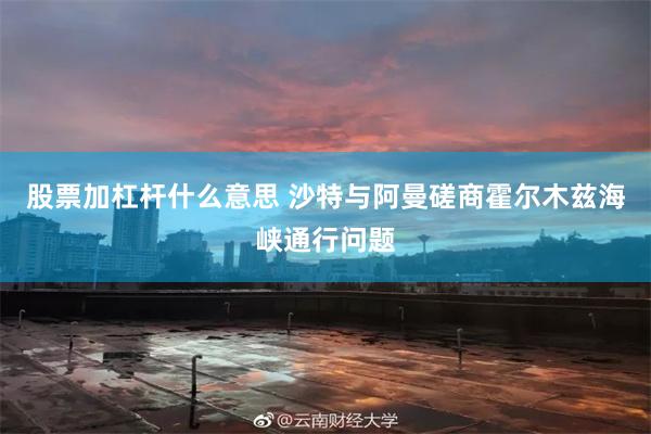 股票加杠杆什么意思 沙特与阿曼磋商霍尔木兹海峡通行问题