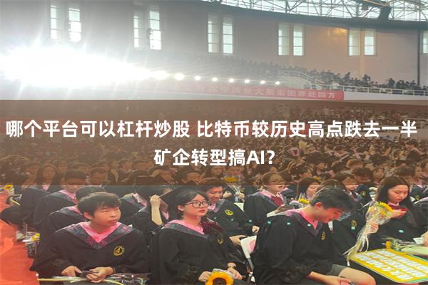 哪个平台可以杠杆炒股 比特币较历史高点跌去一半 矿企转型搞AI？